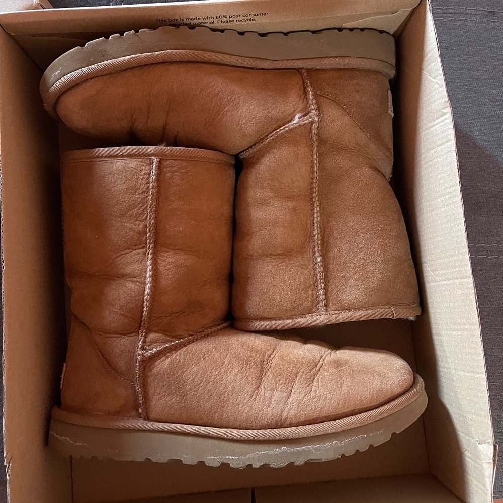 Chestnut Uggs